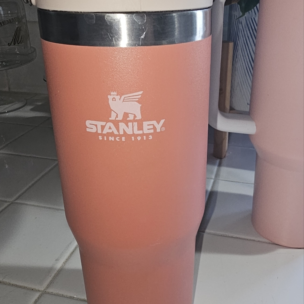 DrinkwareStanley 30 Oz. IceFlow Tumbler with Flip Straw